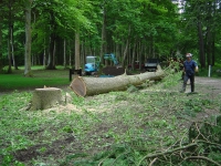 2012-06-05 031